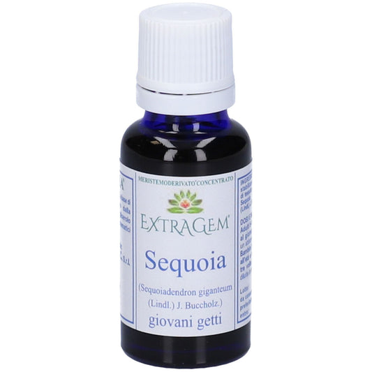 EXTRAGEM Sequoia Getti 20ml