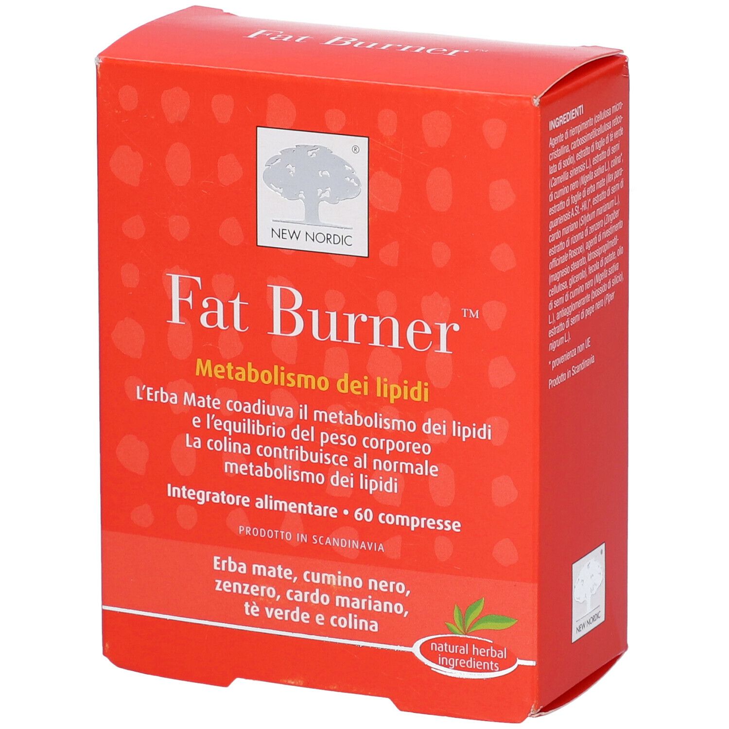 FAT BURNER 60CPR