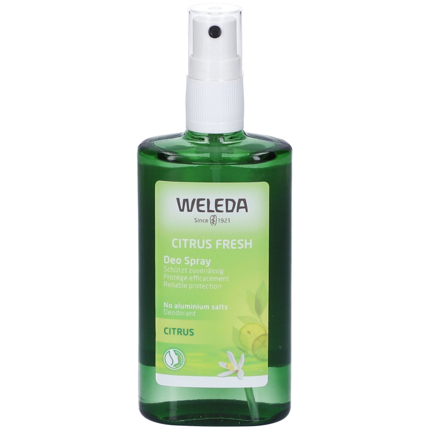 979406840 - DEODORANTE SPRAY LIMONE 100ML