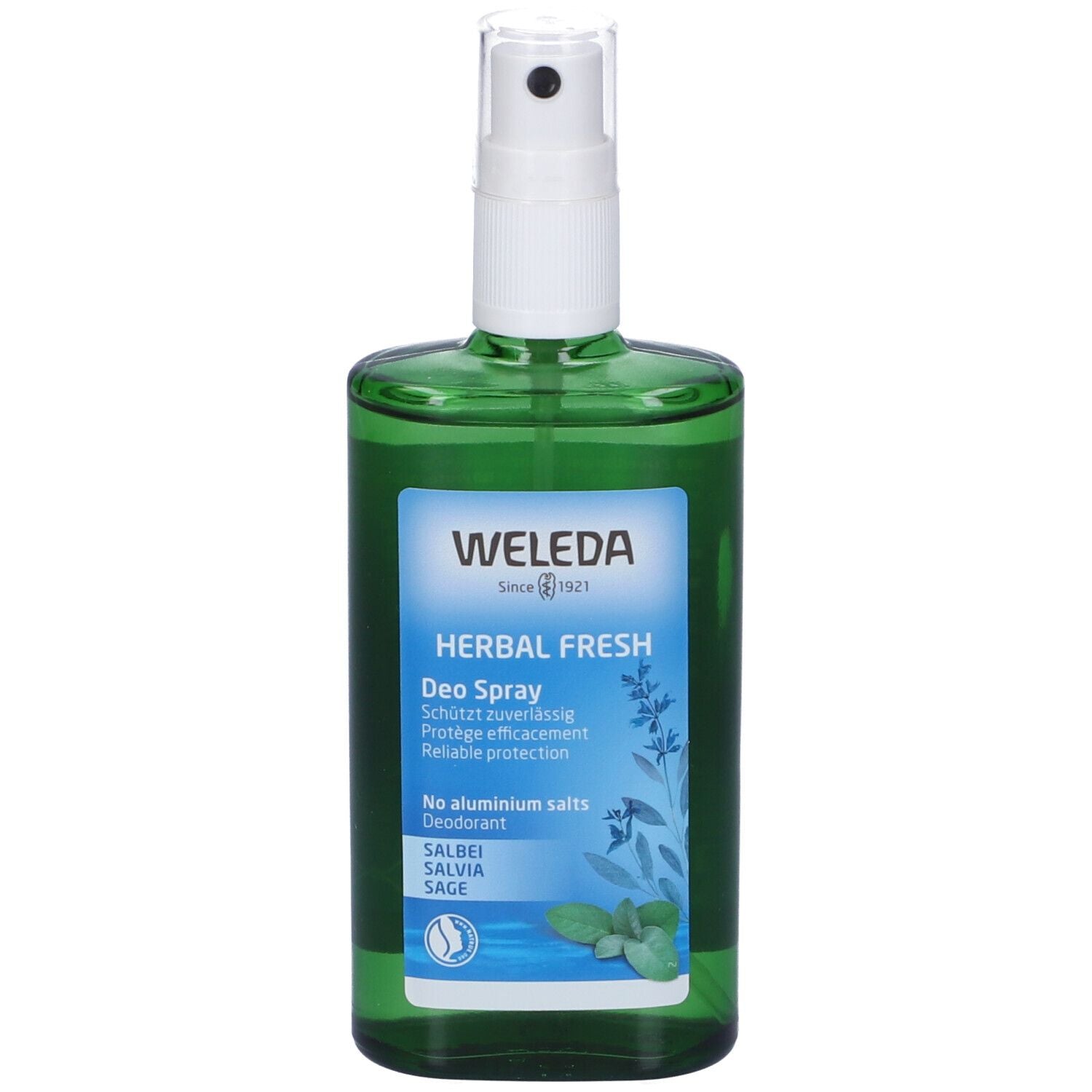 979406877 - DEODORANTE SPRAY SALVIA 100ML