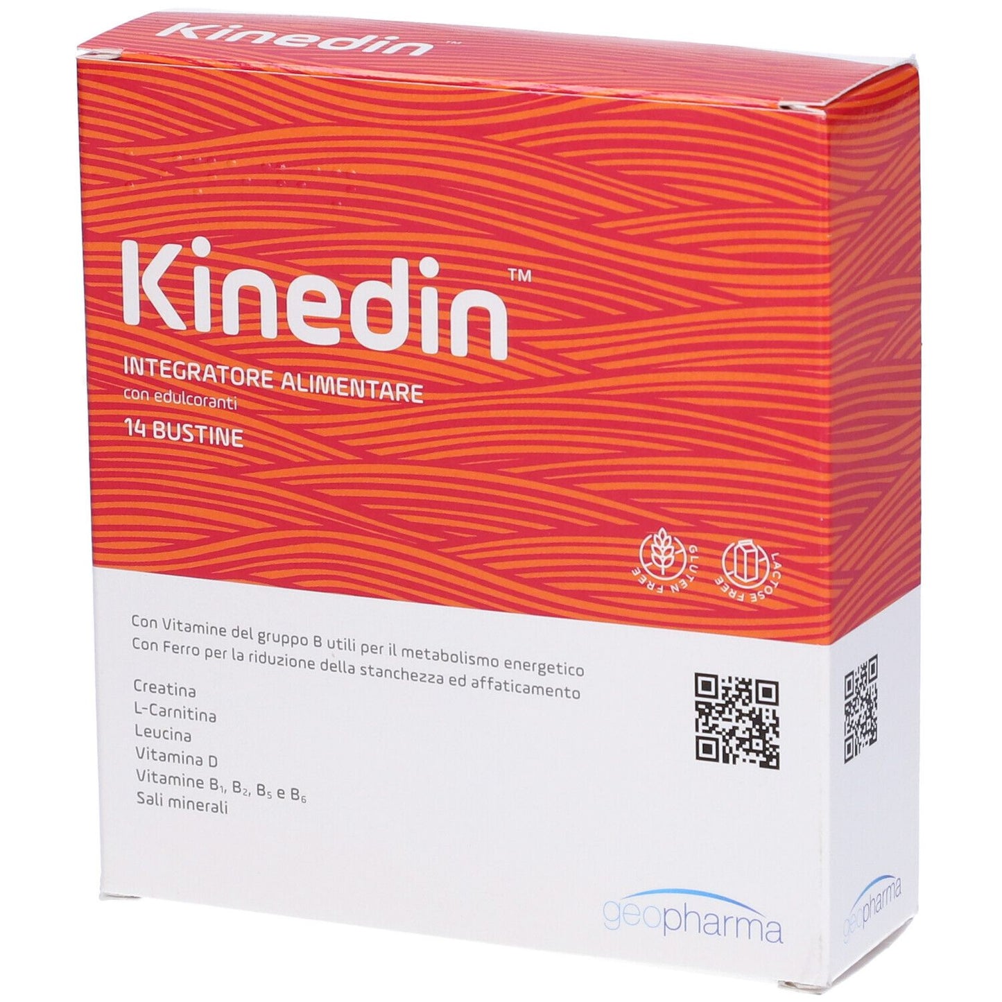 980810485 - KINEDIN 14BUST