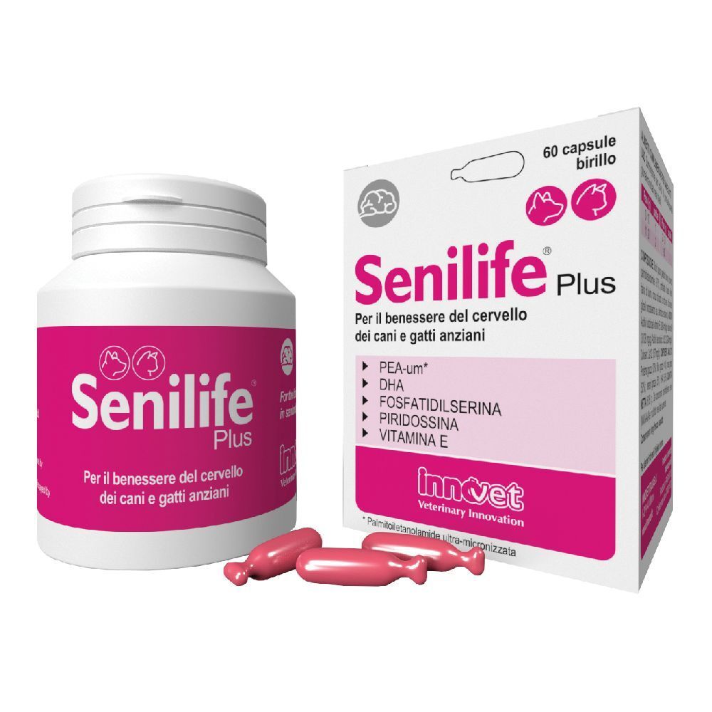 981076728 - SENILIFE PLUS 60CPS