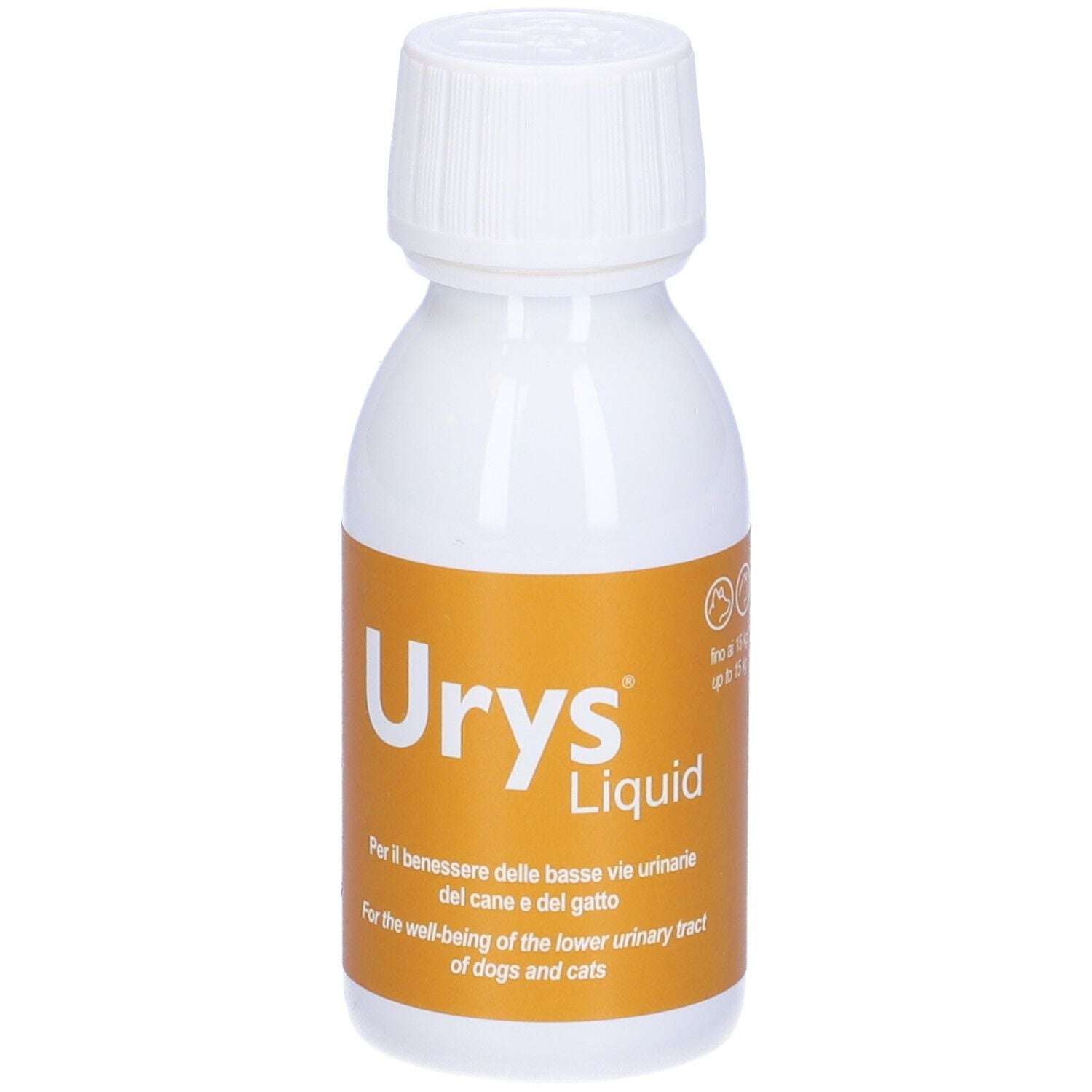 981265503 - URYS LIQUID 60ML
