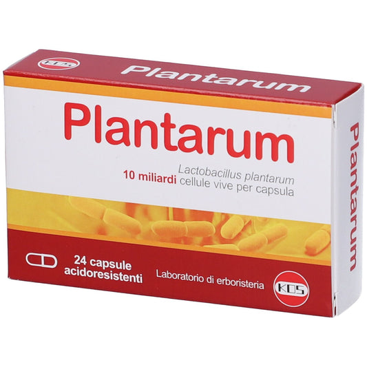 982544645 - PLANTARUM 10MLD 24CPS