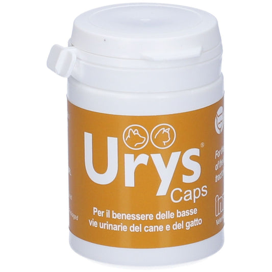 982683068 - URYS CAPS 30CPS