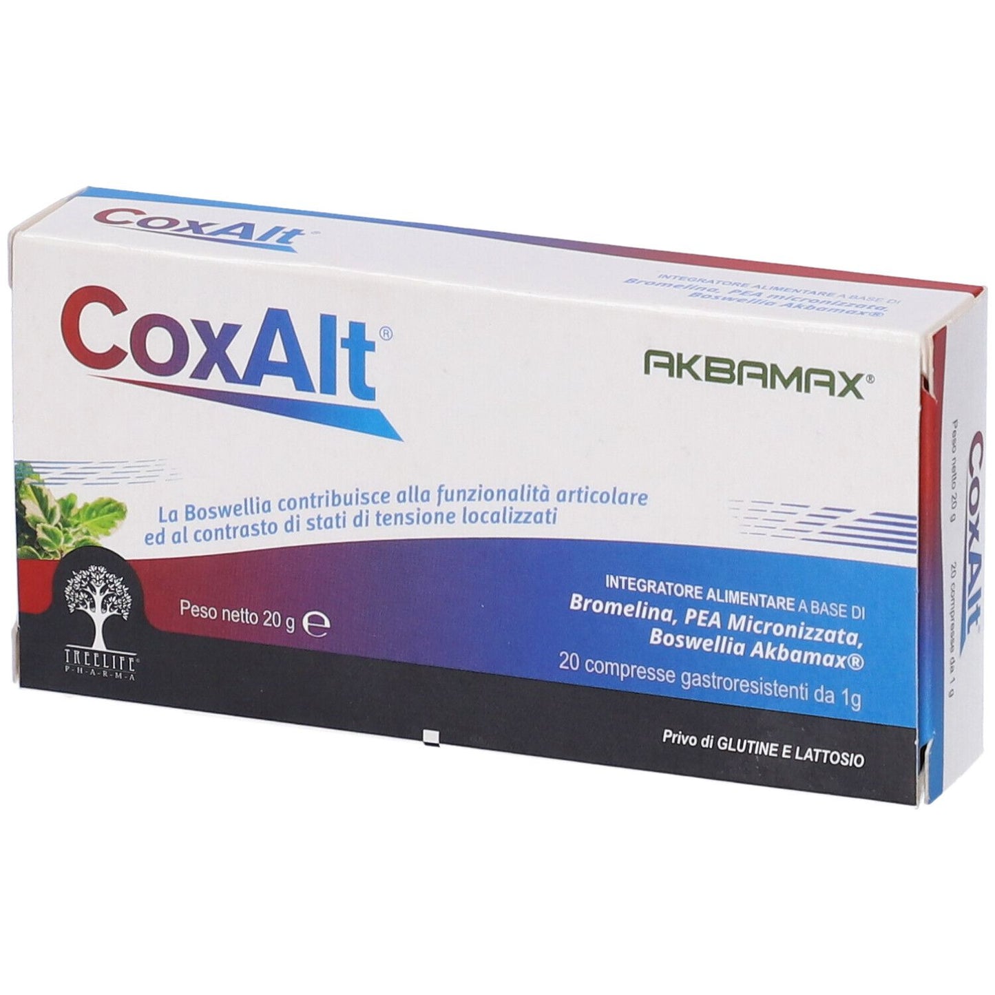 983832825 - COXALT 20CPR
