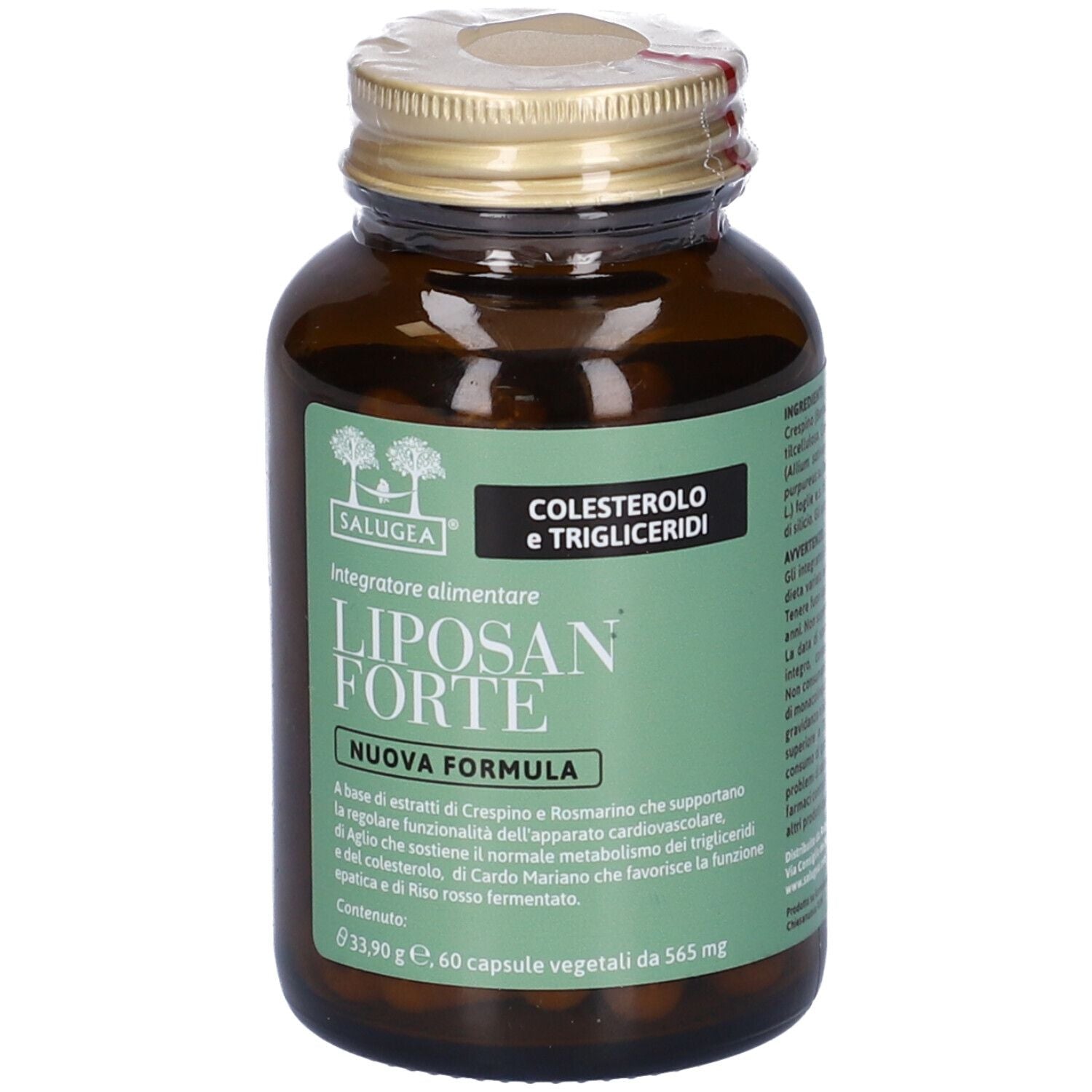 984324083 - LIPOSAN FORTE NF SALUGEA 60CPS