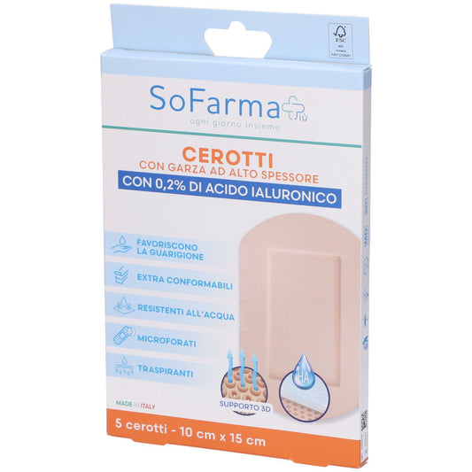 SF+ CER CICATRIZZANTE 10X15 5P