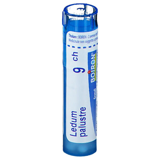 LEDUM PALUSTRE 9CH GR