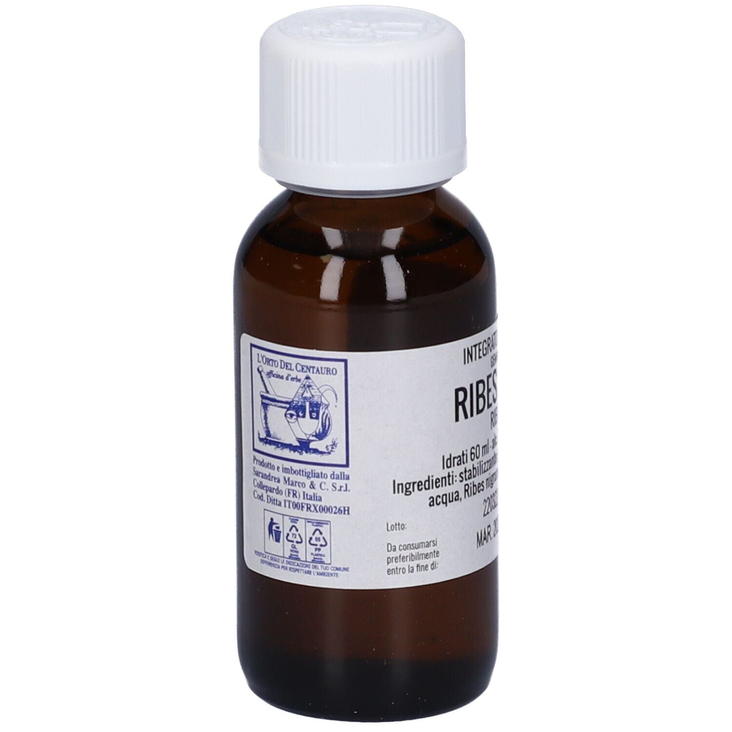 RIBES NIGRUM 60ML MG