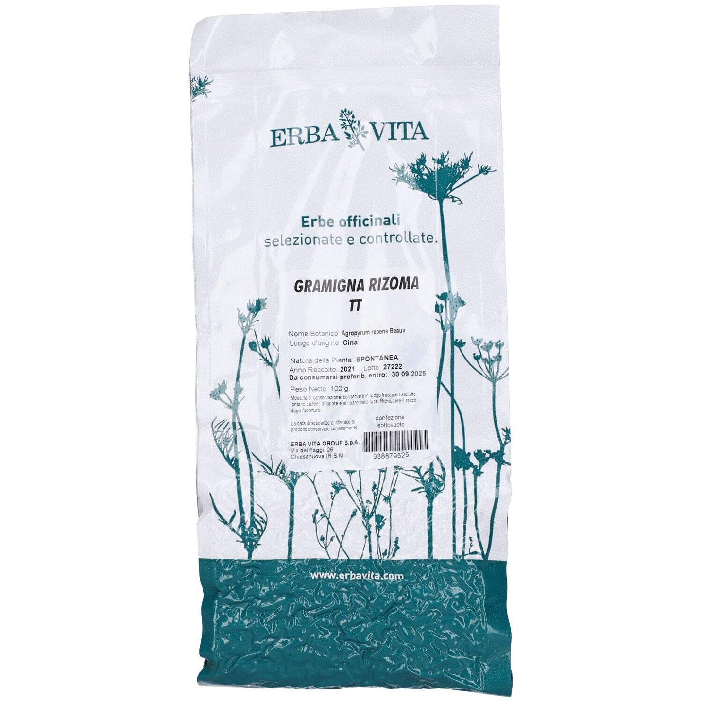 GRAMIGNA TT RIZOMA 100G