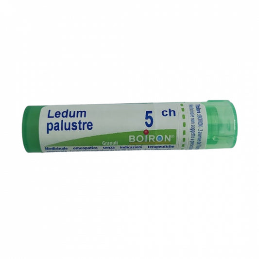 LEDUM PALUSTRE 12CH GL