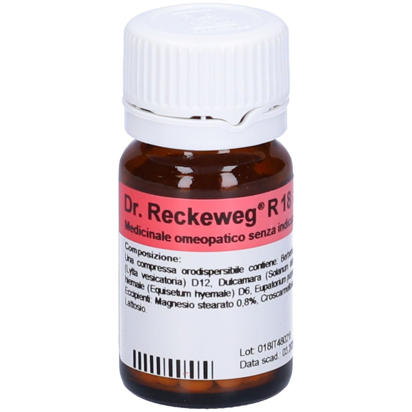 RECKEWEG R18 100CPR 0,1G