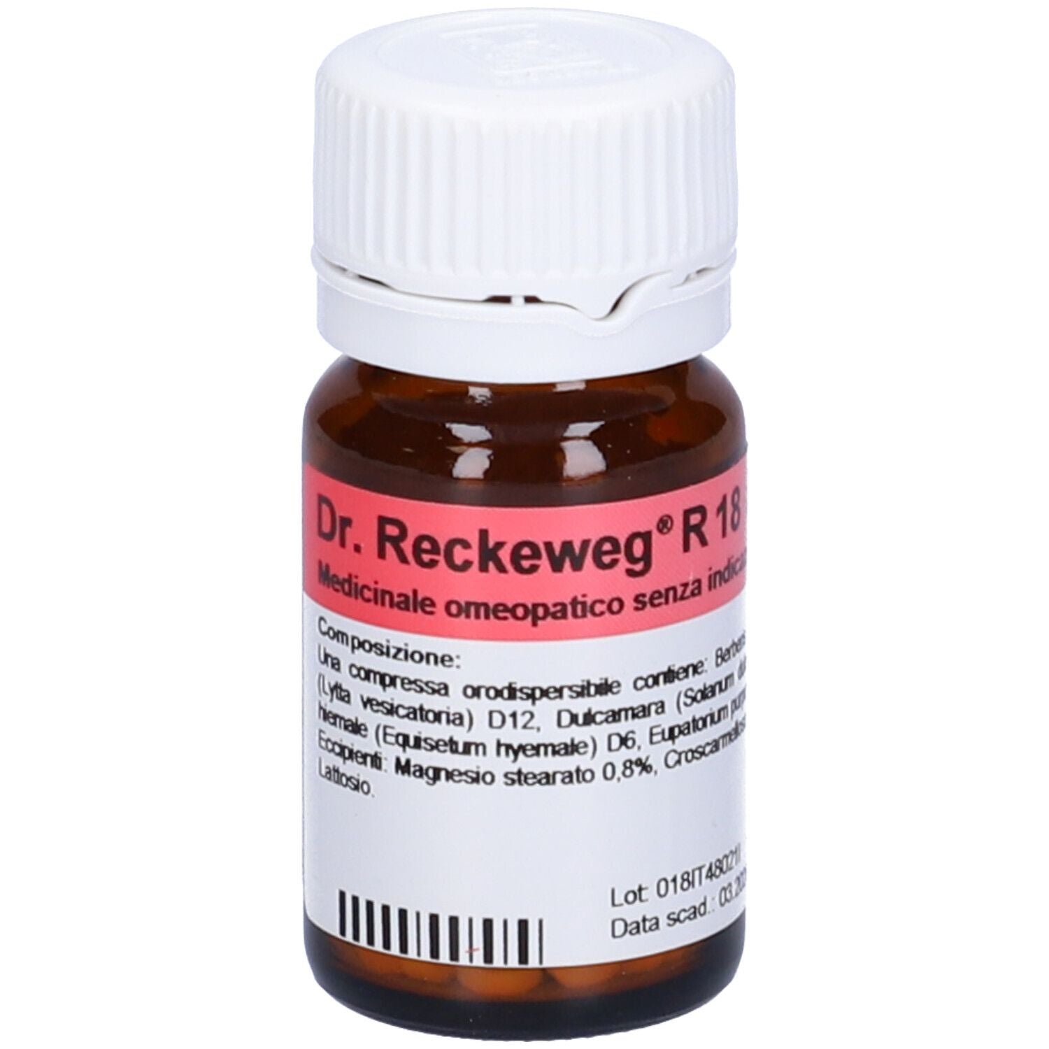 RECKEWEG R18 100CPR 0,1G