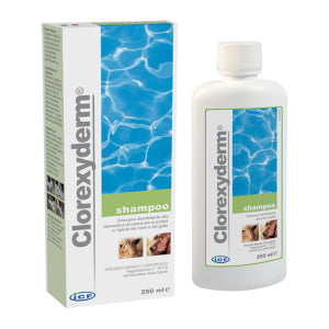 CLOREXYDERM*SHAMPOO 250 ML
