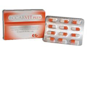 ECCARVIT PLUS 12CPS***