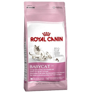 FELINE HN MOTHER&BABYCAT34 400