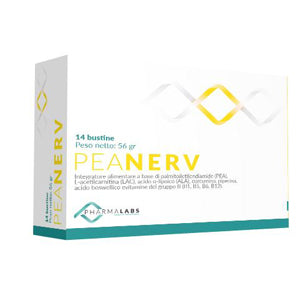 PEANERV BUSTINE 14BUST