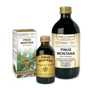 PINO MONT 100ML ANALCO GEM 10+