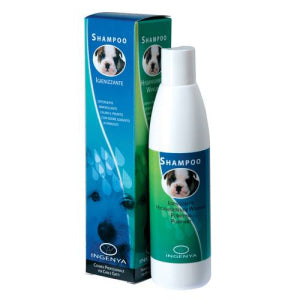 SHAMPOO DERMOPURIFICANTE 250ML